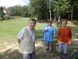 Aktivnosti